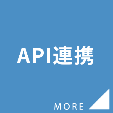 API連携